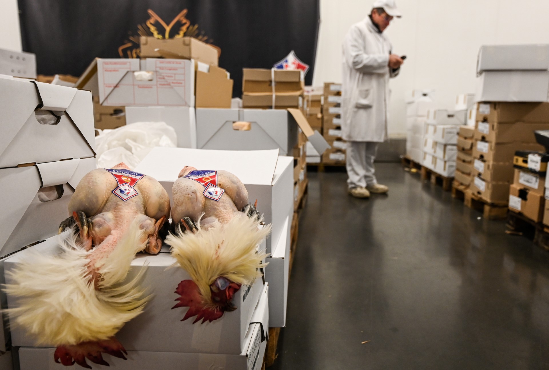 Grippe aviaire: les volaillers français plaident pour une vaccination au niveau européen