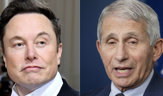 Elon Musk s'en prend au Dr Fauci, conseiller Covid de la Maison Blanche