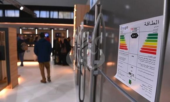 Exportation hors hydrocarbures: Les mesures prises par le gouvernement saluées
