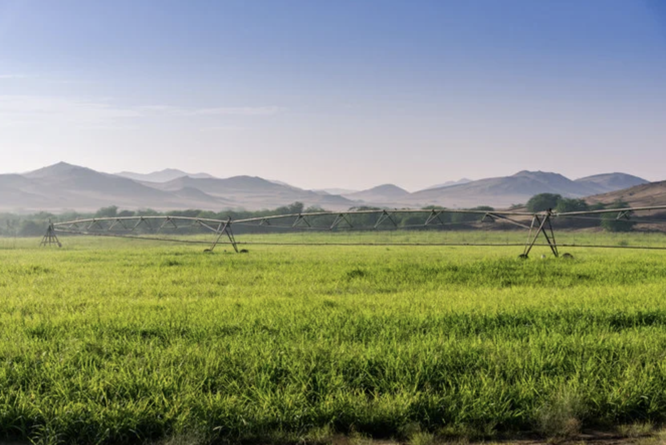 Une possible révolution agricole au Moyen-Orient grâce à la transformation de l’énergie en aliments
