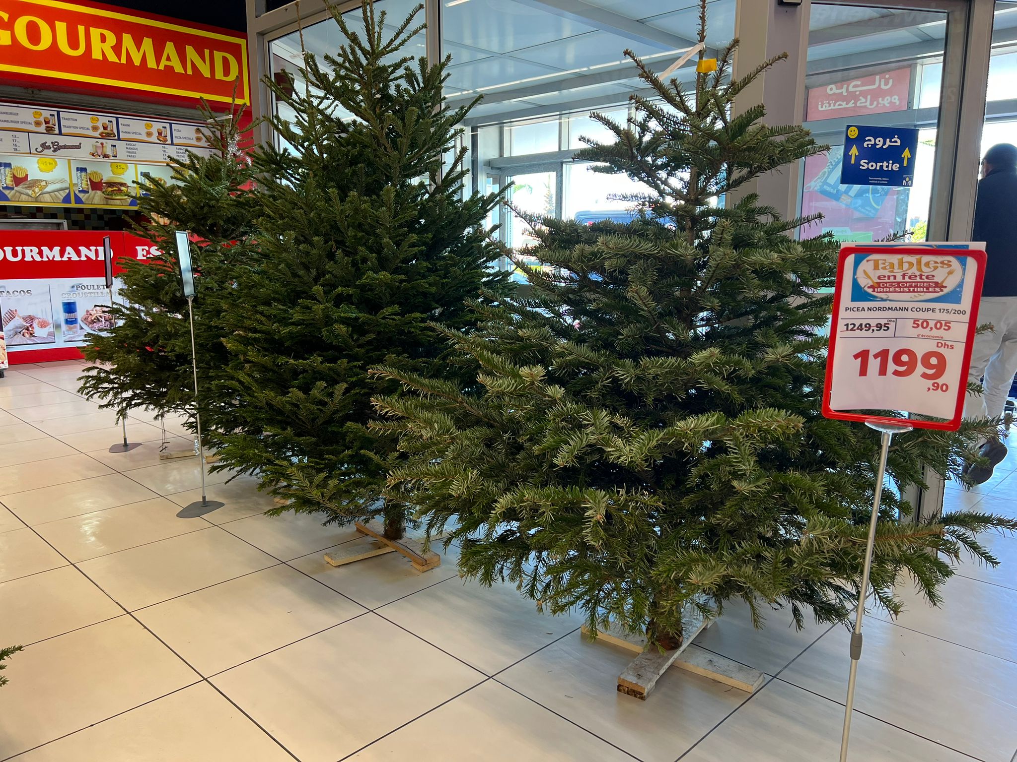 Les retardataires se ruent sur les marchés aux fleurs ou dans les grandes surfaces qui proposent des sapins à la vente; l’arbre le plus prisé est le sapin de Noël Nordmann. À la veille de Noël, il se vend 1 200 dirhams (1 dirham marocain = 0,090 euro) ( Photo, fournie)