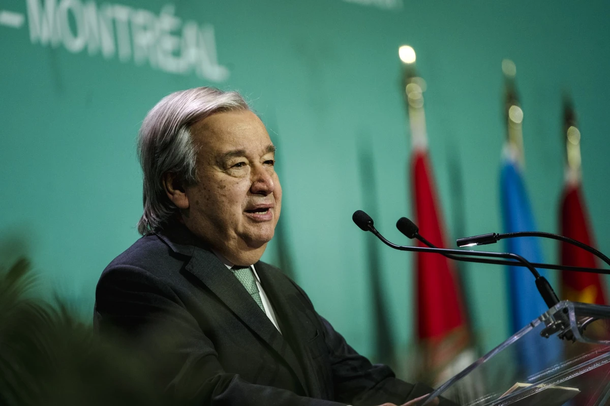 Protéger la haute mer «n'a que trop tardé», déplore le chef de l'ONU