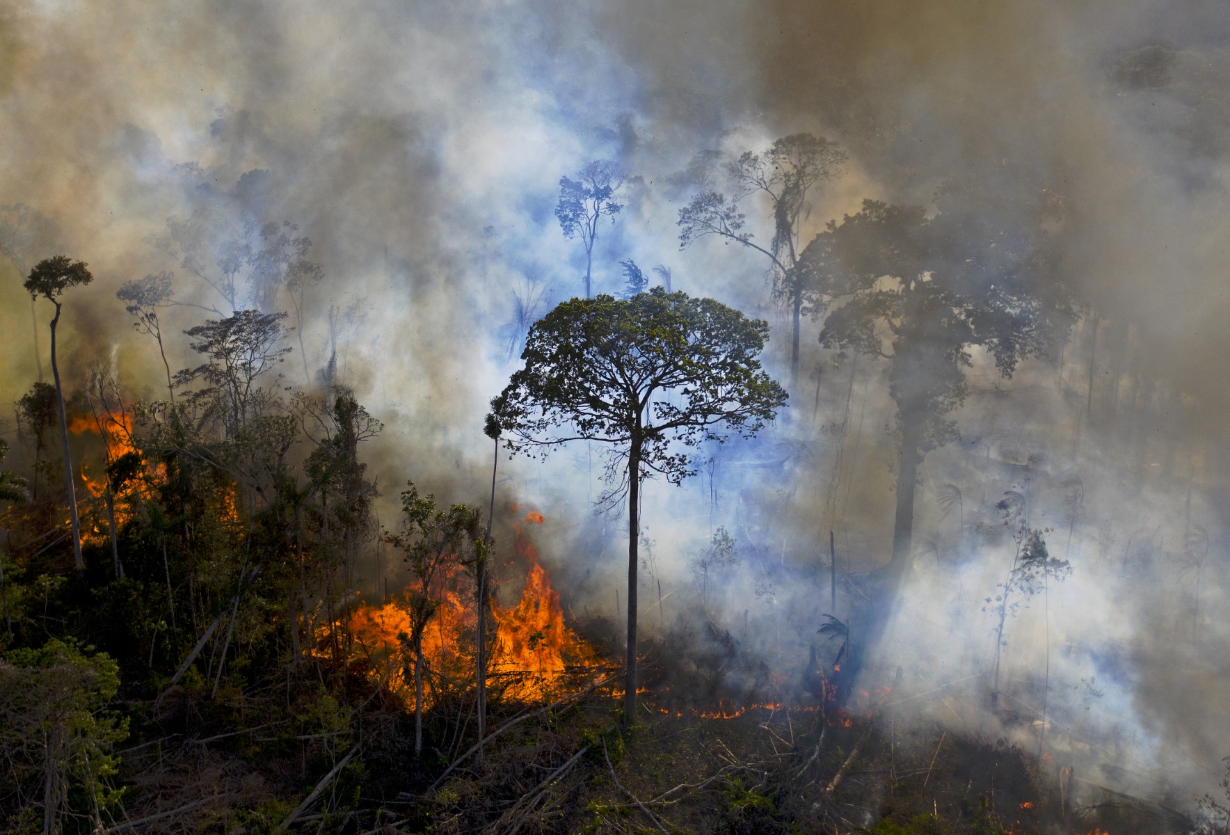 Amazonie: bond de 150% de la déforestation en décembre, dernier mois de Bolsonaro