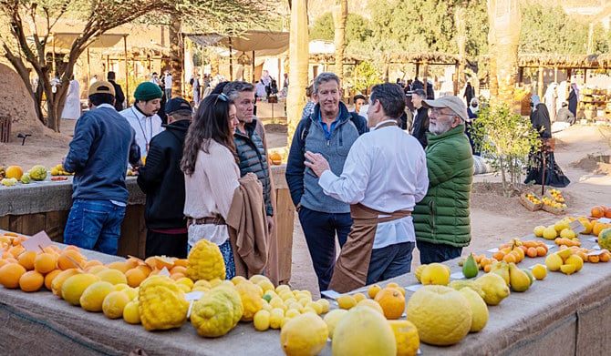 Le Festival des agrumes d’AlUla et sa prodigieuse diversité