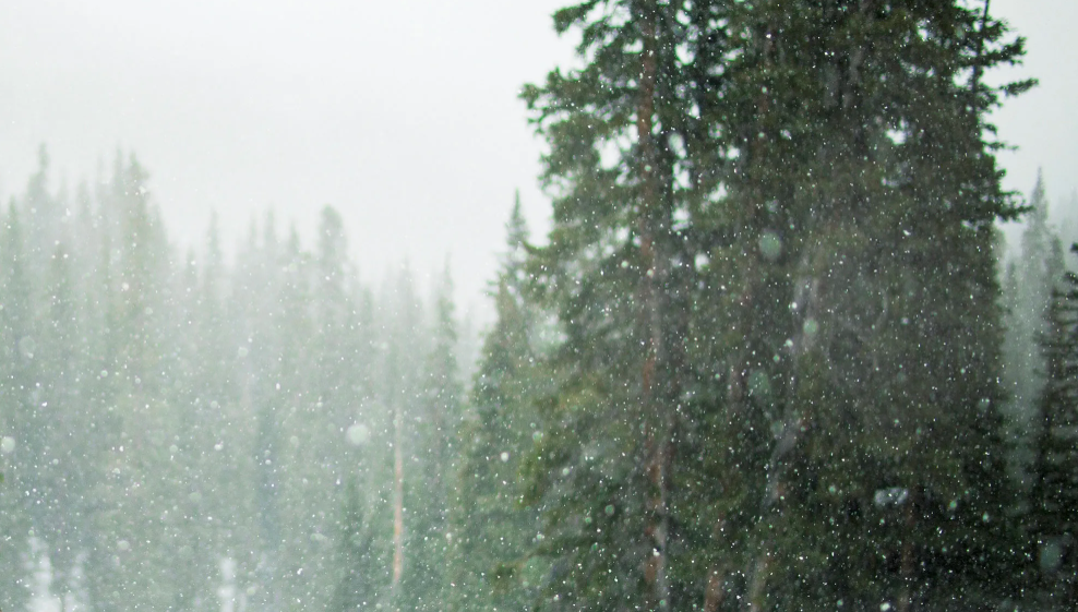 Chute de neige: Interruption de la circulation sur une route nationale