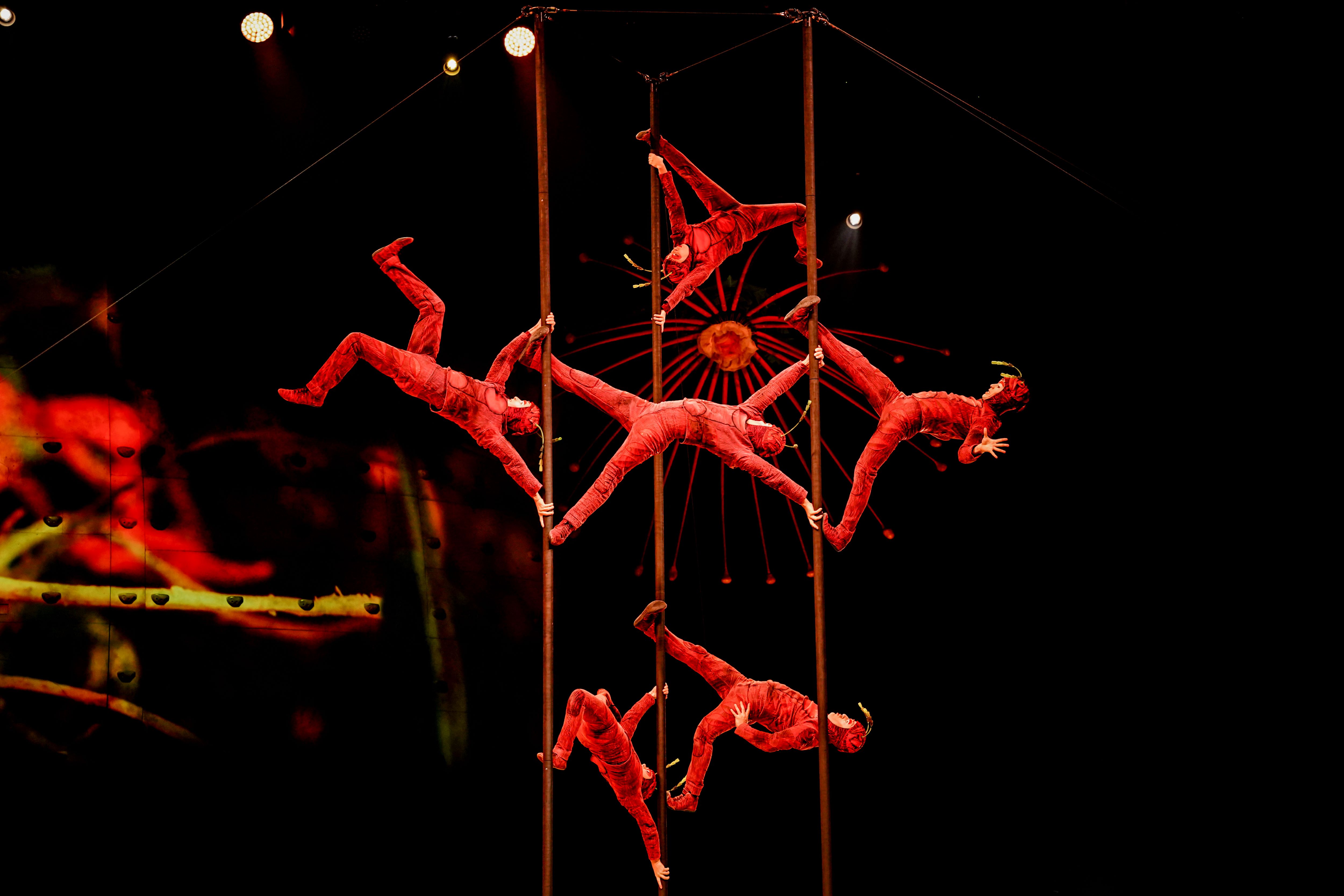 Après le succès d'OVO en Arabie saoudite, le Cirque du Soleil poursuit son essor au Moyen-Orient