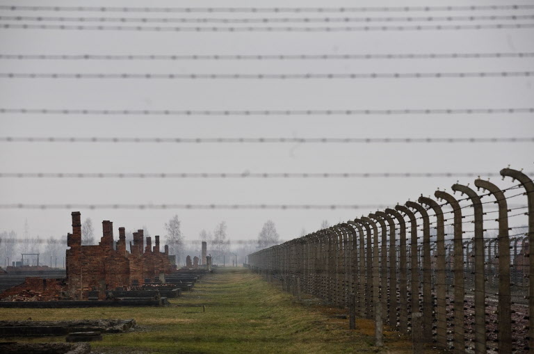 L'Album d'Auschwitz sous la loupe des historiens