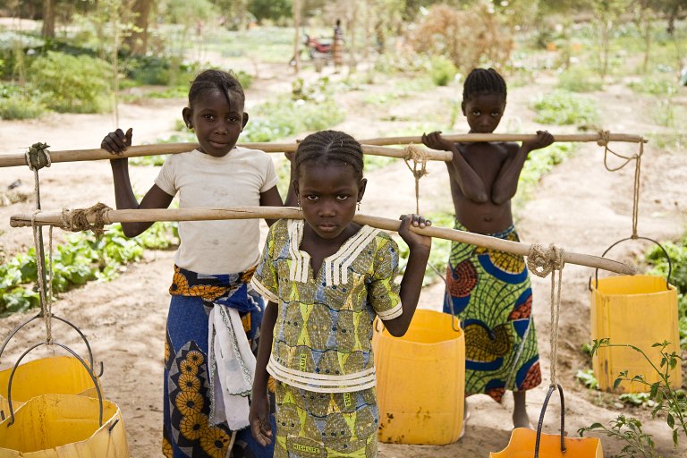 L'ONU s'inquiète de l'aggravation de l'insécurité alimentaire au Sahel