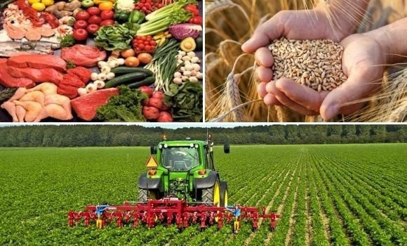 Sécurité alimentaire: L’Algérie abritera la 1re conférence panafricaine