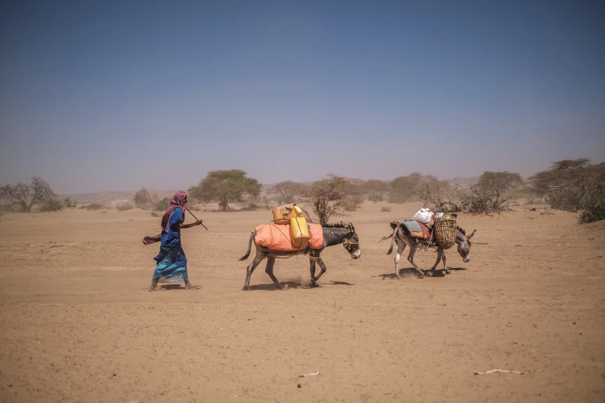 Dans la Corne de l'Afrique, 22 millions de personnes menacées par la sécheresse