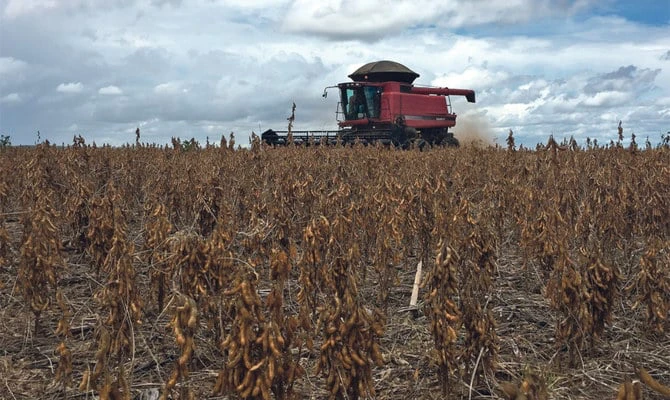 Argentine: la sécheresse persistante menace de nouveau les récoltes