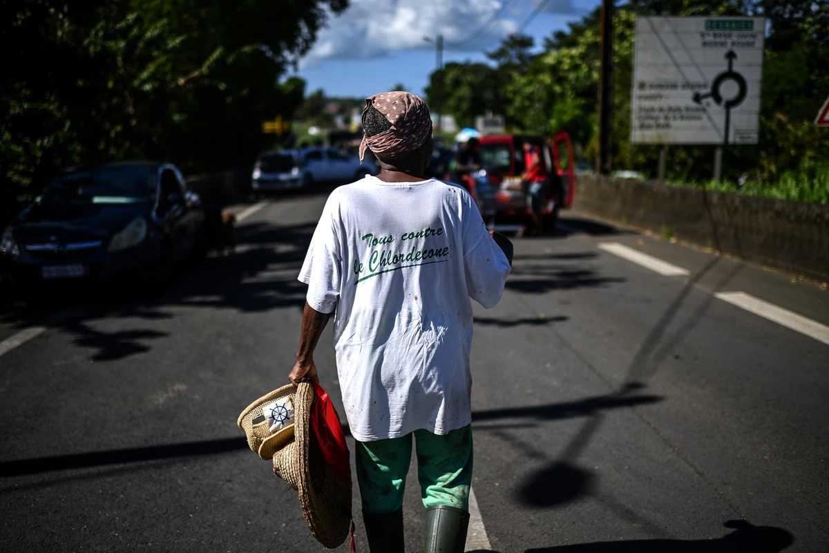 Chlordécone aux Antilles: La justice reconnaît un «scandale sanitaire» mais prononce un non-lieu