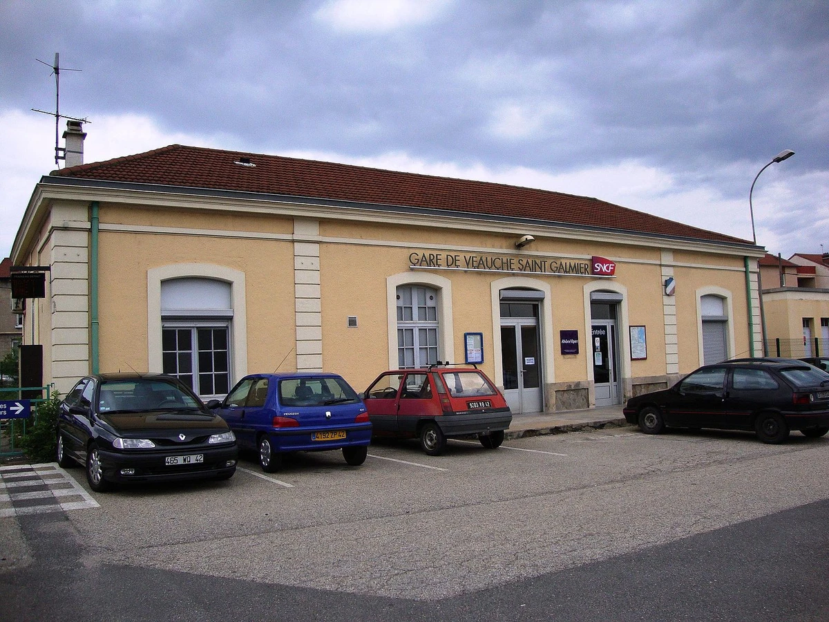 Loire : une femme tuée après avoir été percutée par un train dans une gare