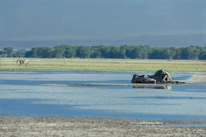 Climat: les huit dernières années ont été les plus chaudes jamais enregistrées