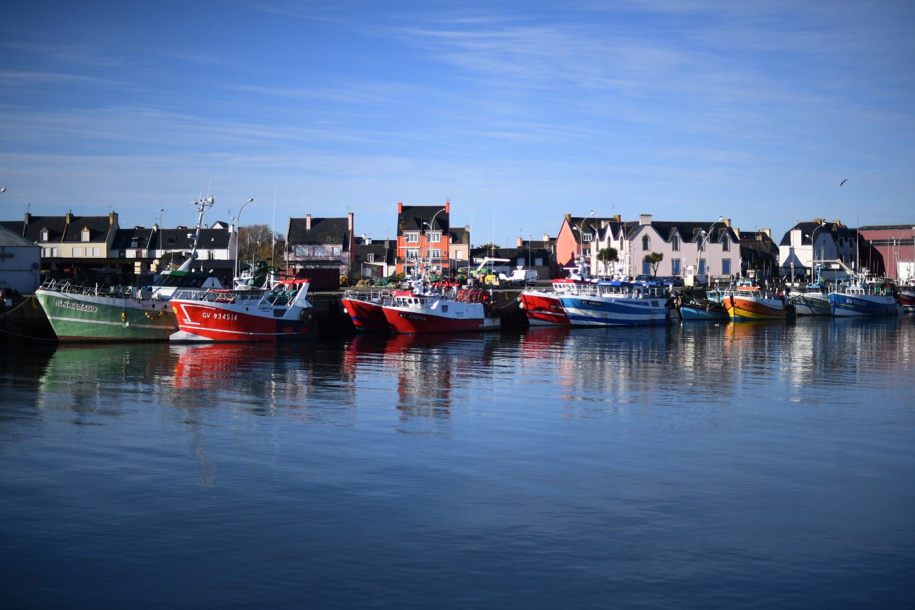 Brexit: au port du Guilvinec, «on a tué la pêche bretonne»