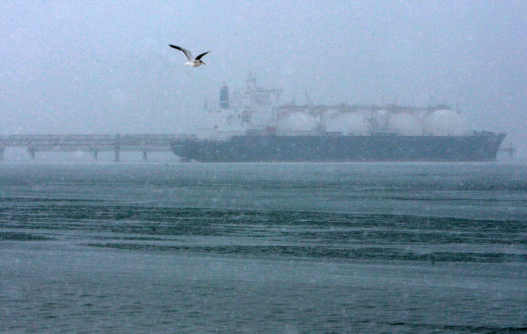 Sur cette photo d'archive prise le 16 février 2009, une mouette vole près d'un navire-citerne de gaz naturel liquéfié (GNL) près d'une usine de GNL sur l'île de Sakhaline, près de la ville de Korsakov. (Photo de Natalia Kolesnikova / AFP)