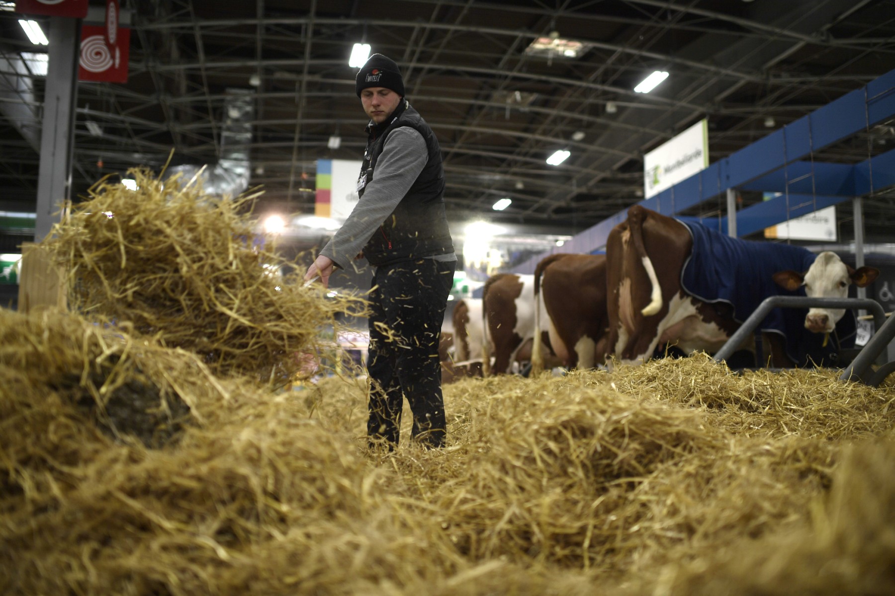 Le Salon de l'agriculture ouvre samedi, une fenêtre sur les « espoirs et problèmes » des agriculteurs