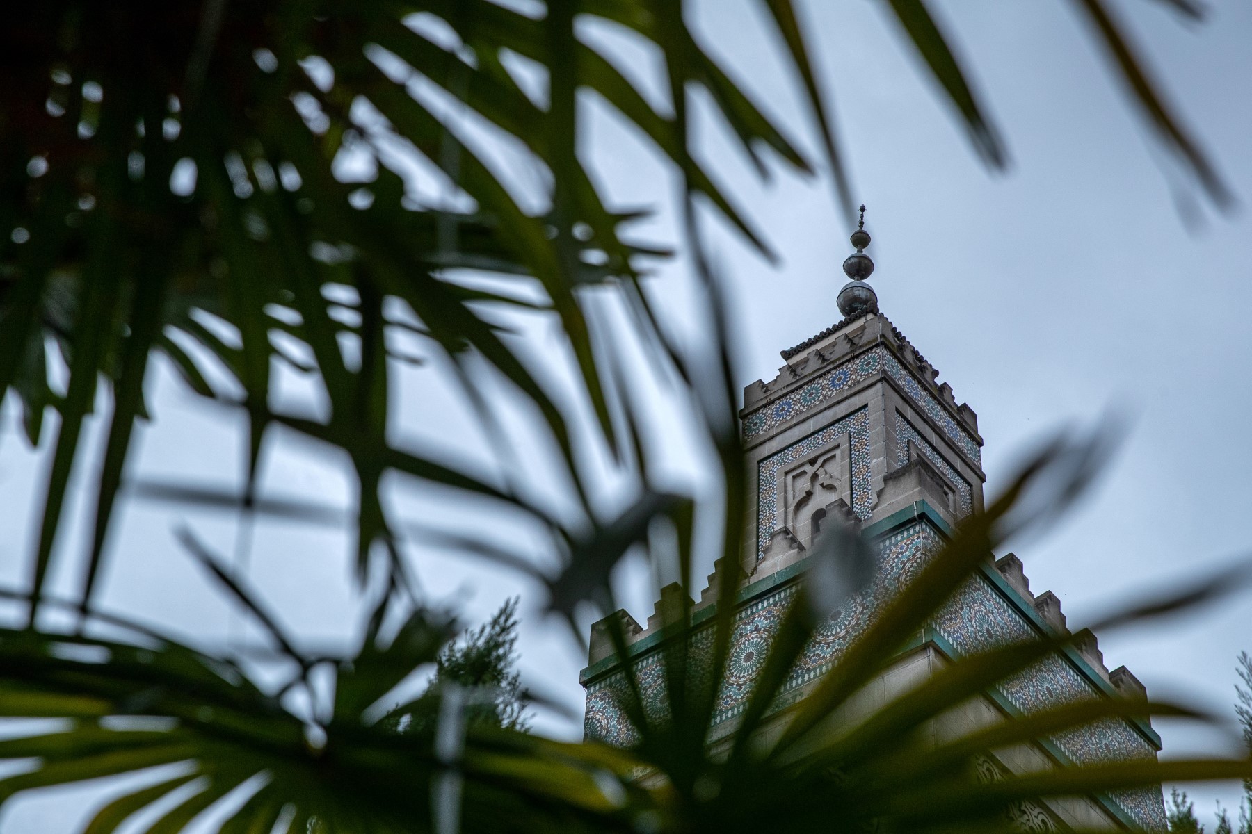 Le ramadan commence jeudi en France