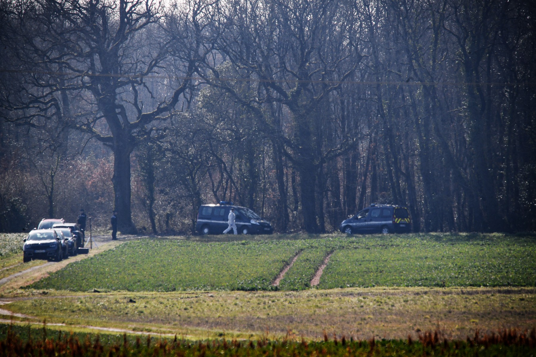 Disparus des Deux-Sèvres: Deux corps retrouvés, mais pas encore identifiés