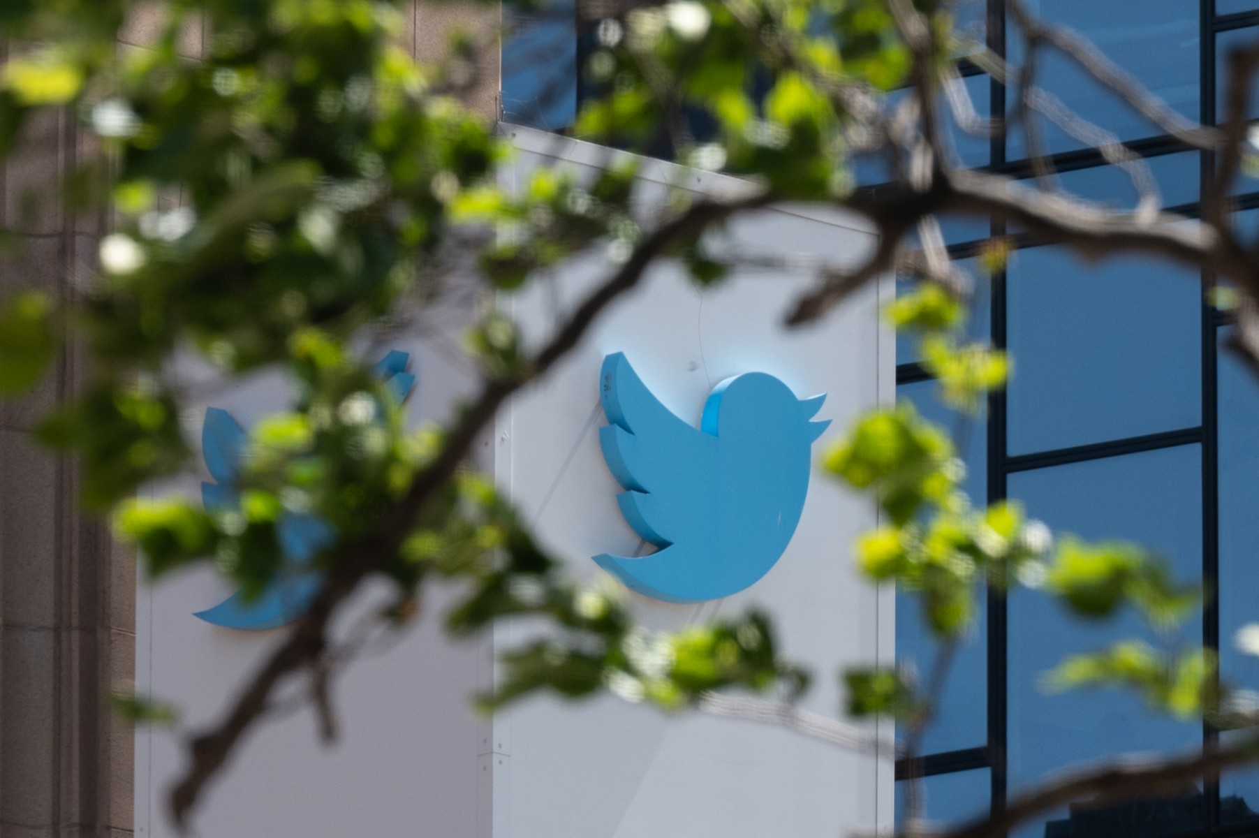 Brève panne des liens internet sur Twitter