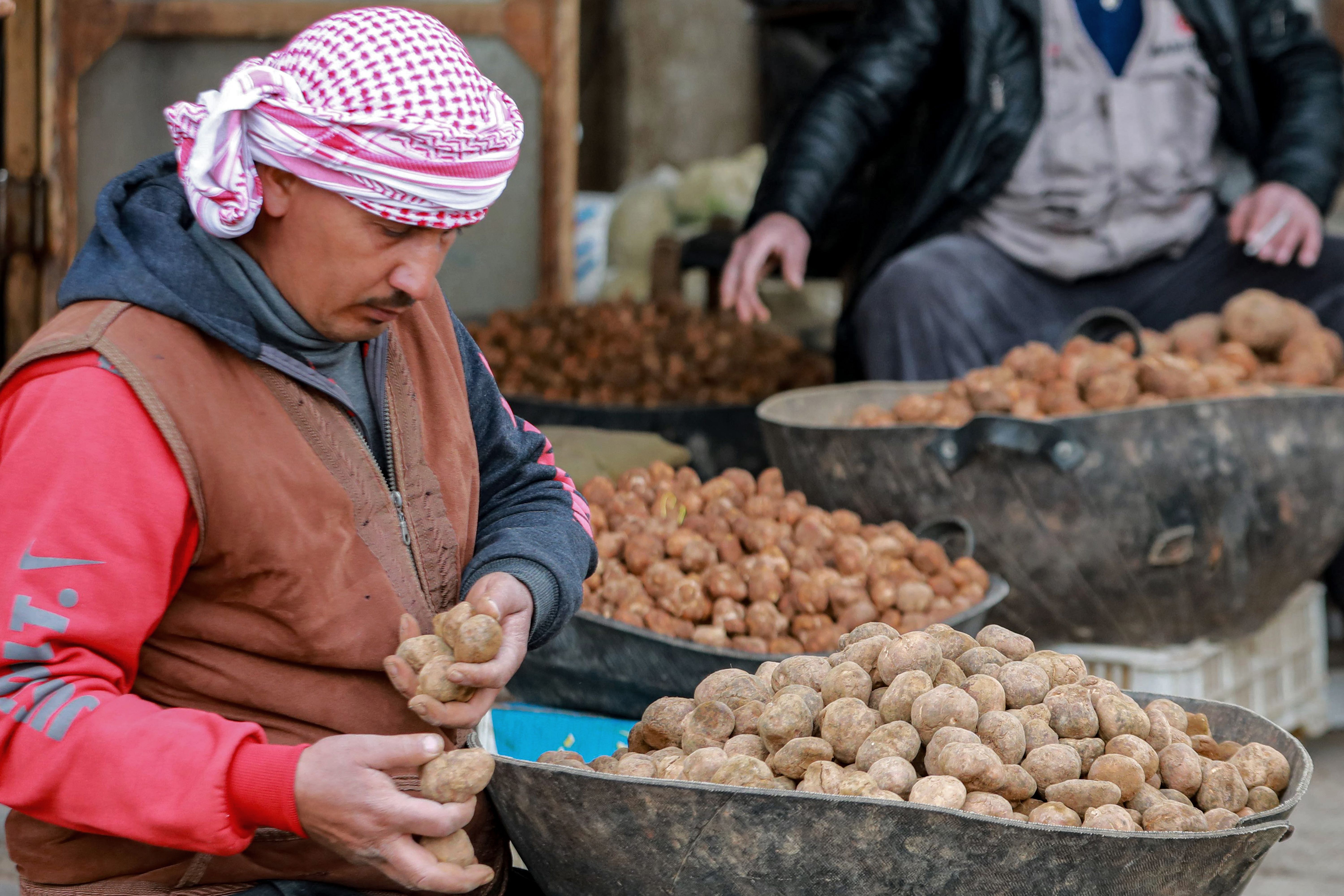 Syrie: trois personnes ramassant des truffes tuées, 26 enlevées