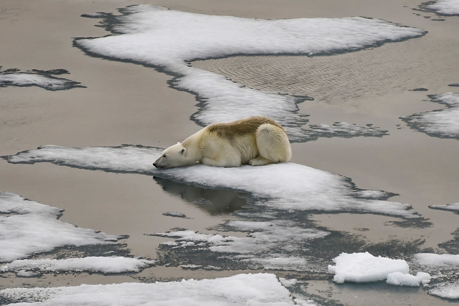 Climat: le Giec publie son «guide de survie» pour l'humanité
