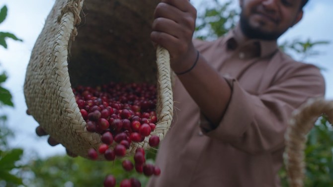 La Saudi Coffee Company s'apprête à présenter au monde entier le café de Jazan