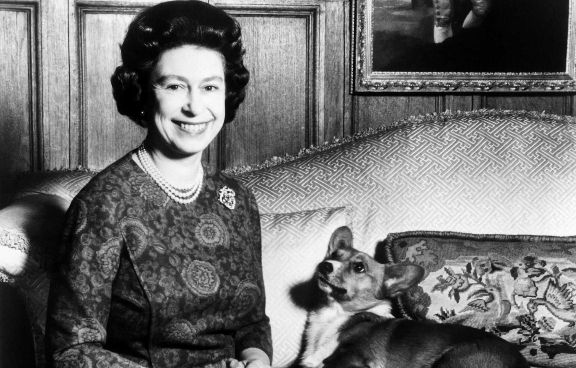 À Londres, les célèbres corgis d'Elizabeth II au cœur d'une exposition