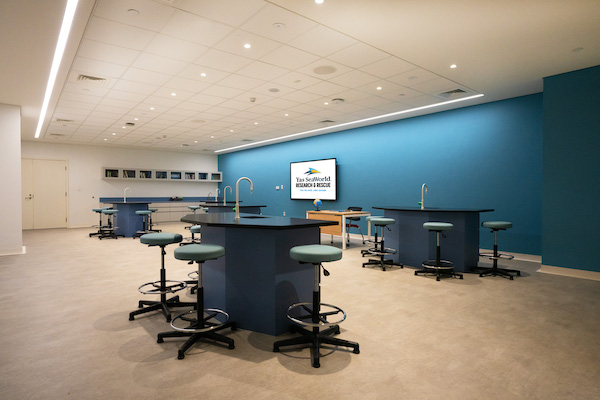 Classe de la recherche marine au centre du SeaWorld Research & Rescue Yas Island (fournie)