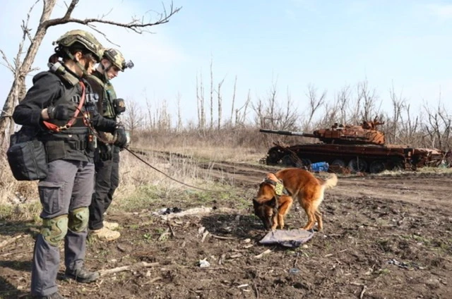 L'ONU accuse Ukrainiens et Russes d'«exécutions sommaires» de prisonniers de guerre