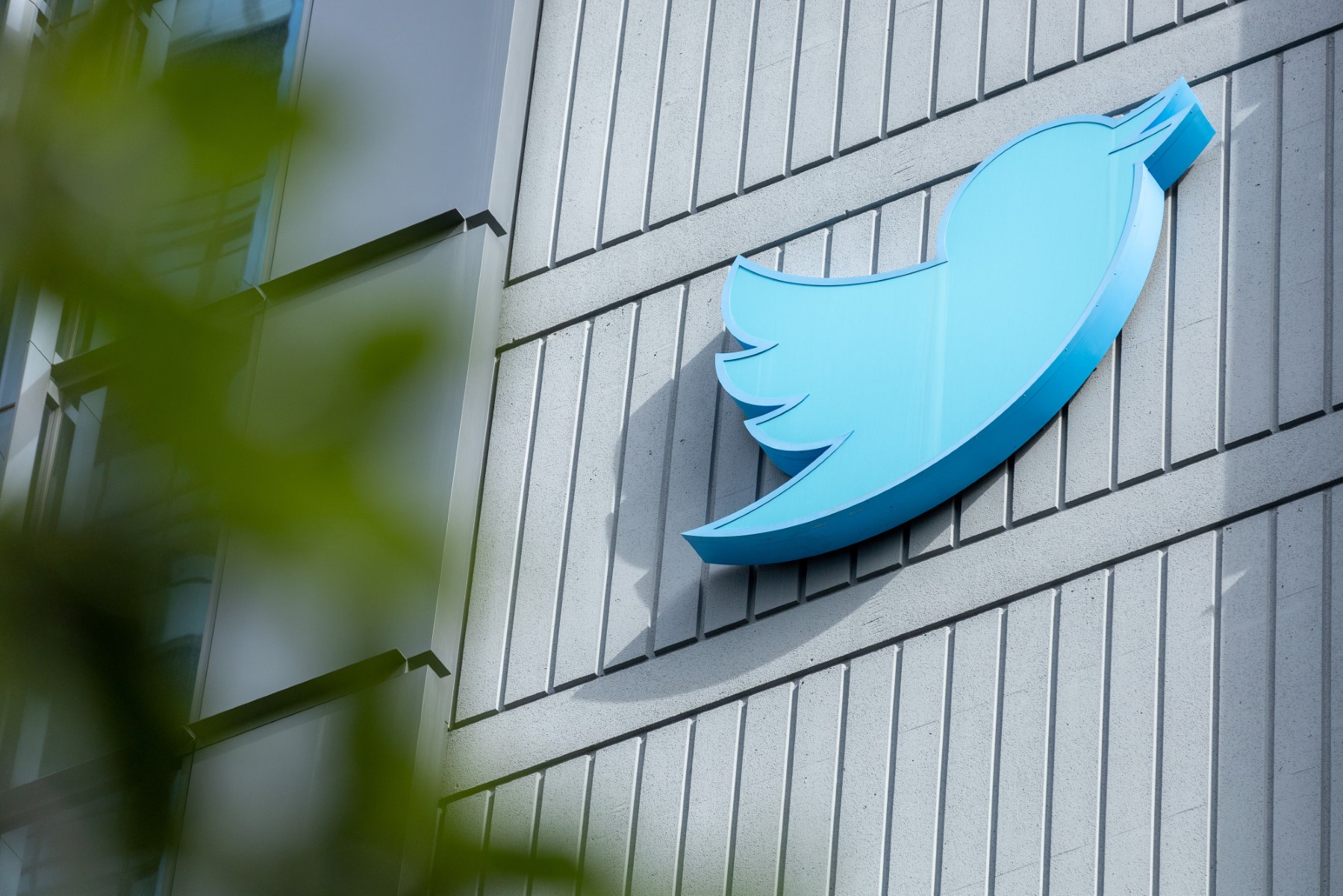 Twitter: des badges bleus de certification imposés sans consentement