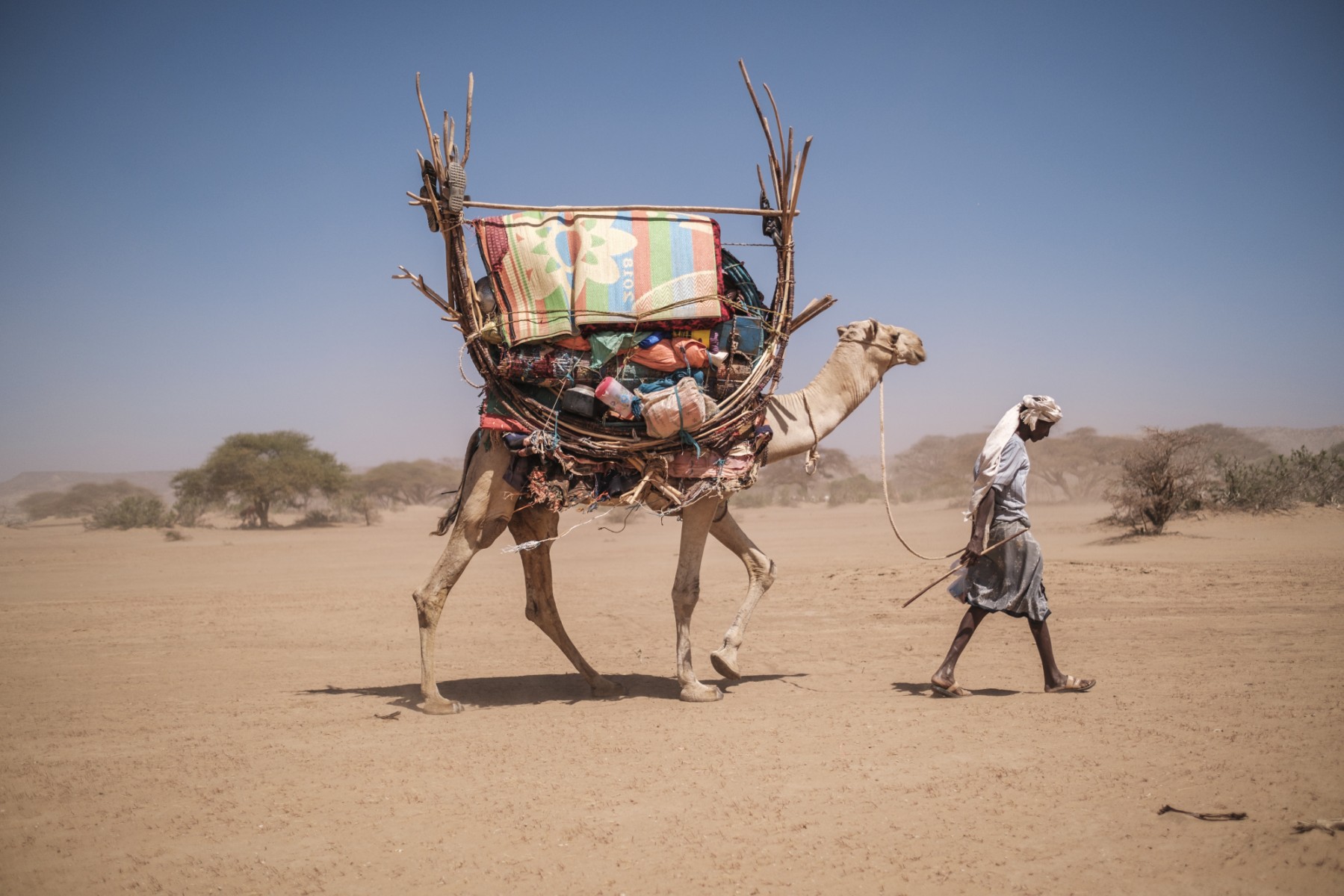 La sécheresse record dans la Corne de l'Afrique est attribuable au réchauffement climatique