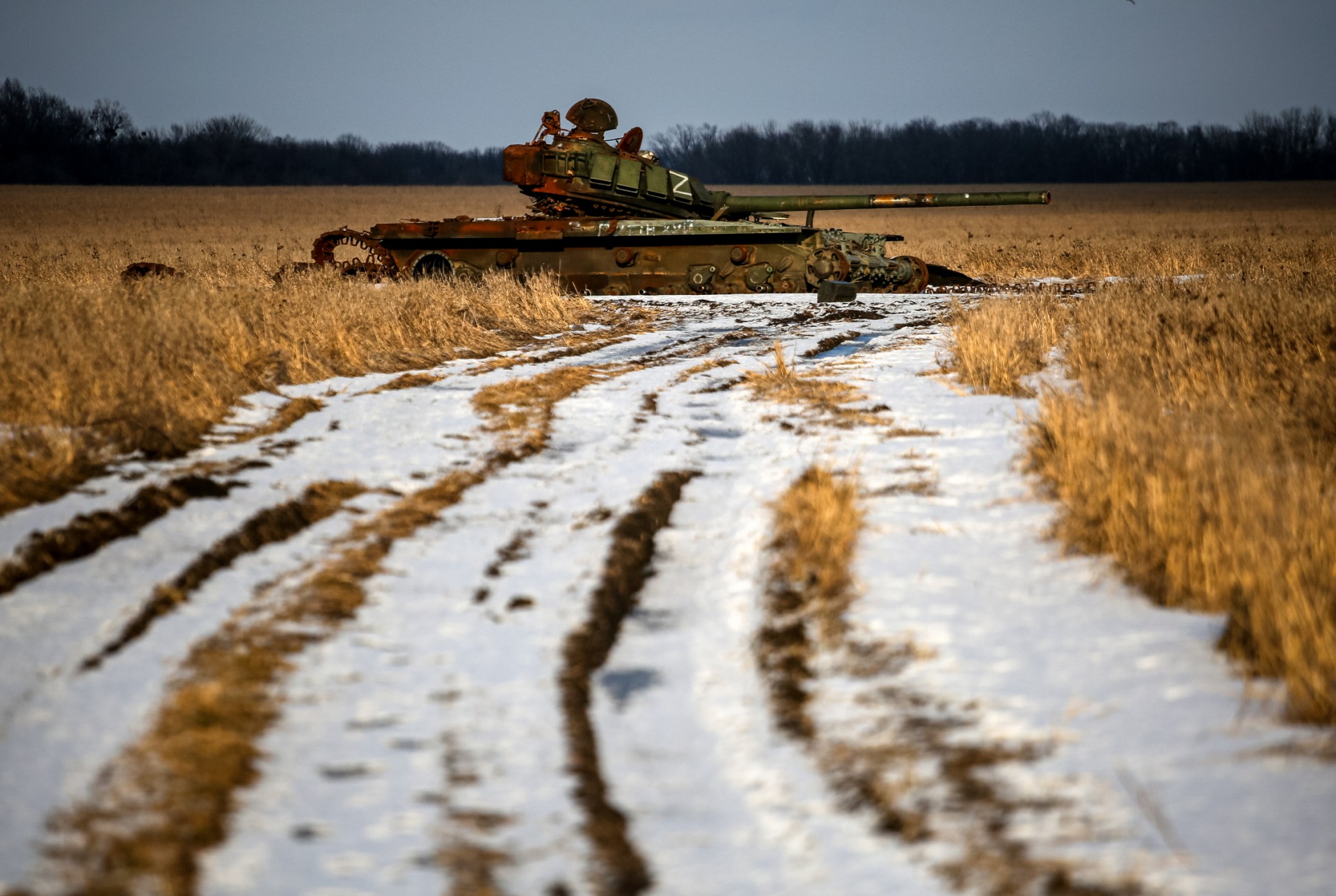 Céréales ukrainiennes : Kiev dénonce auprès de la Pologne des restrictions «inacceptables»