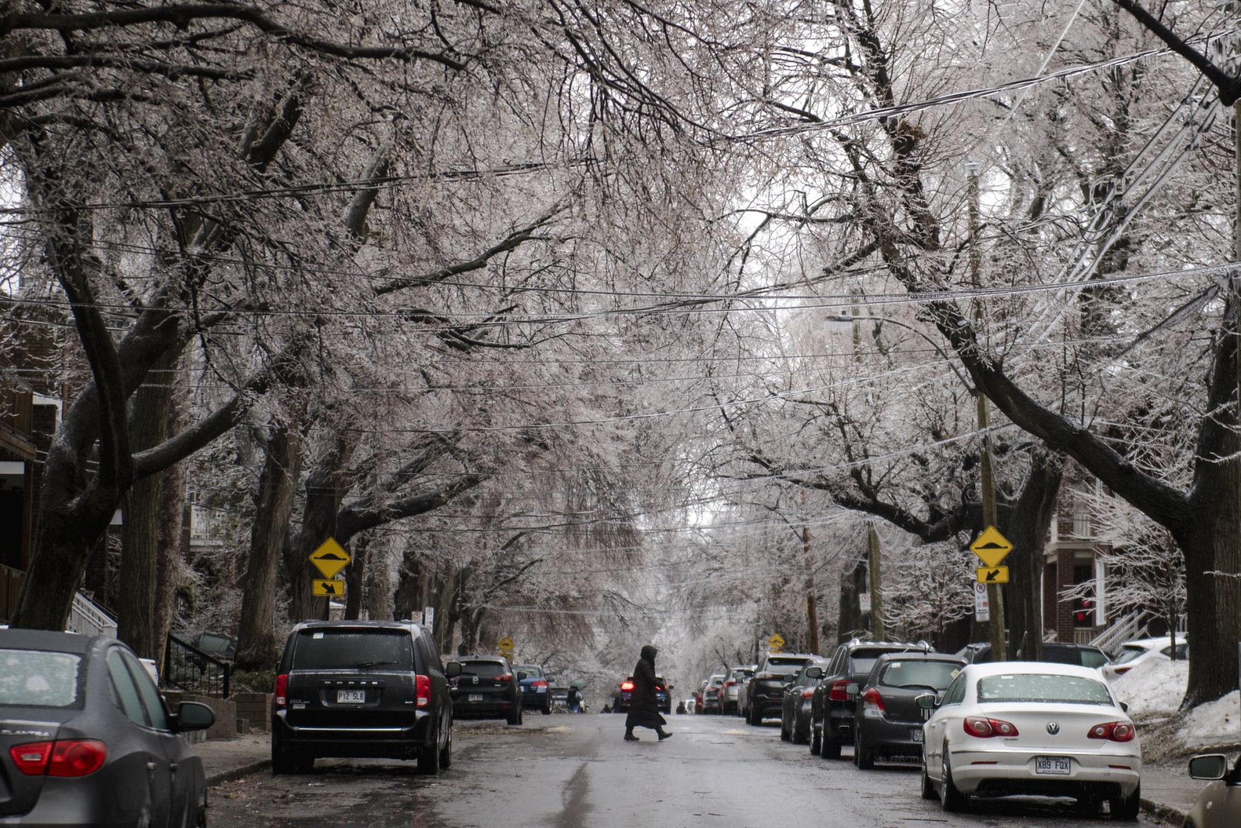 Une personne traverse la rue alors que des branches d'arbres sont recouvertes de glace après que des pluies verglaçantes ont frappé certaines parties du Québec et de l'Ontario à Montréal, au Canada, le 5 avril 2023. (Photo par Andrej Ivanov / AFP)