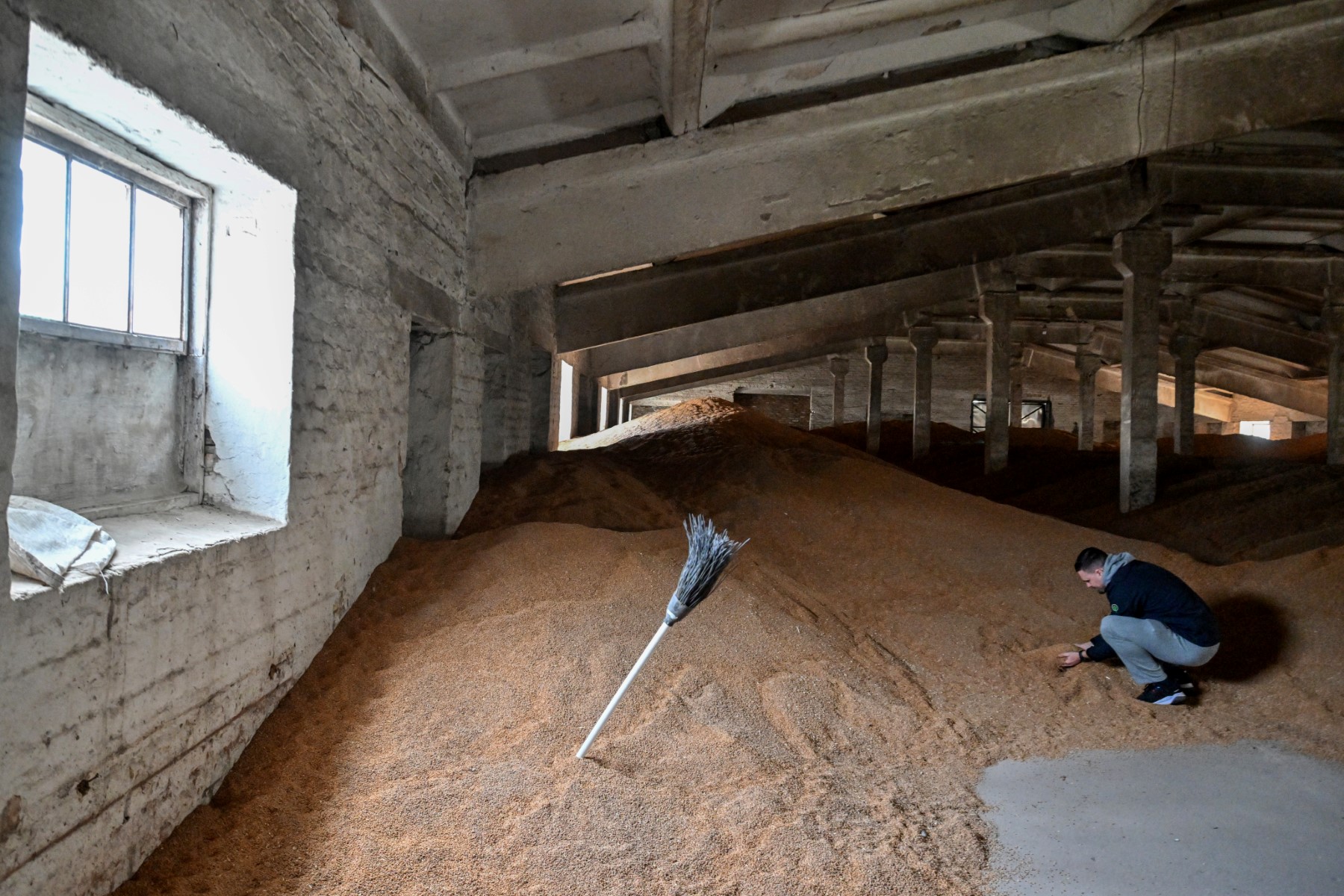En Ukraine, des agriculteurs inquiets face aux restrictions des pays voisins