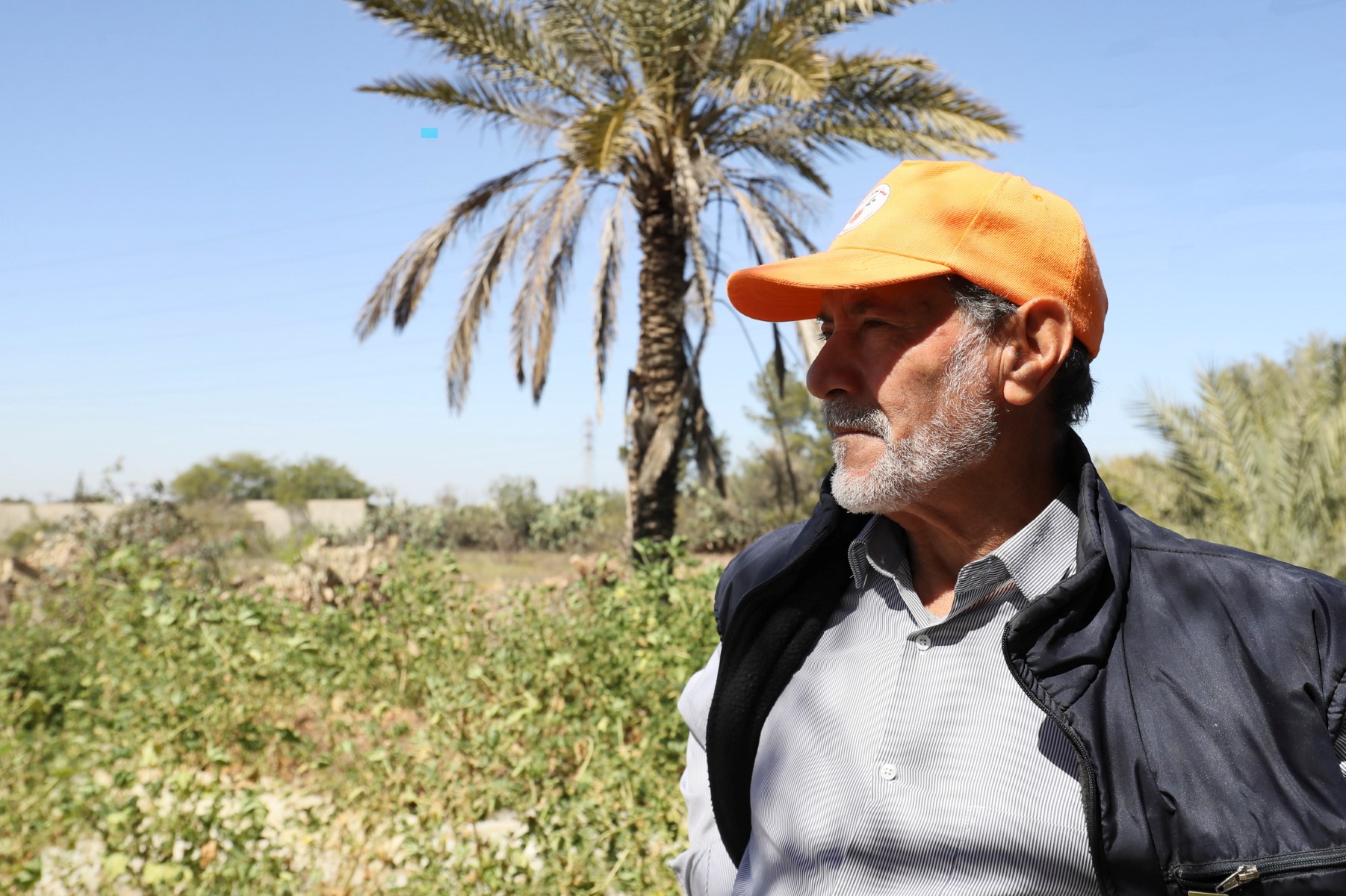 Dans l'ouest de la Libye, déforestation, sécheresse et urbanisation «ont tout détruit»
