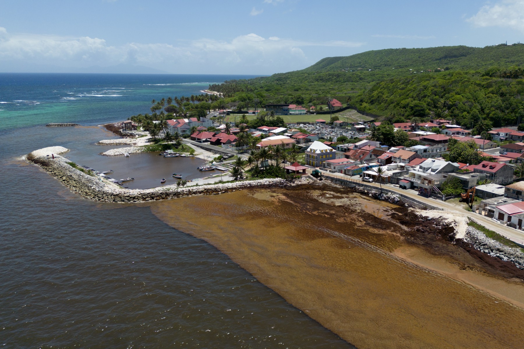 Sur cette photographie prise le 18 avril 2023, on peut voir une ceinture de sargasses de l'Atlantique échouée à Capesterre de Marie Galante. En séchant, elles produisent des gaz toxiques tels que le sulfure d'hydrogène (H2S) ou l'ammoniac, ce qui oblige les destinations touristiques à fermer en raison de la mauvaise qualité de l'air. (Photo d'Olivier MORIN / AFP)