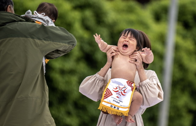 Au Japon, le festival des «bébés sumos en pleurs» est de retour