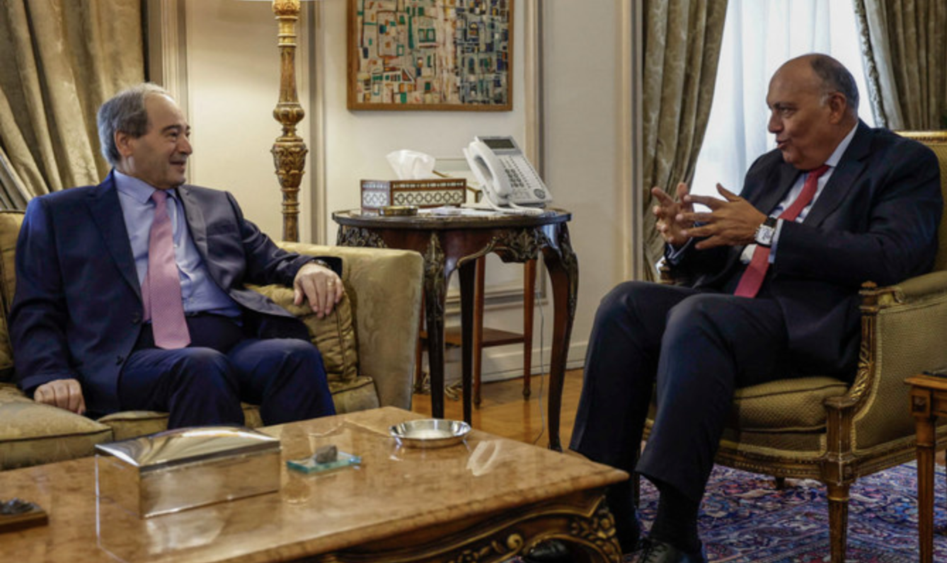 Le ministre égyptien des AE discute de la paix en Syrie avec l’envoyé spécial de l'ONU