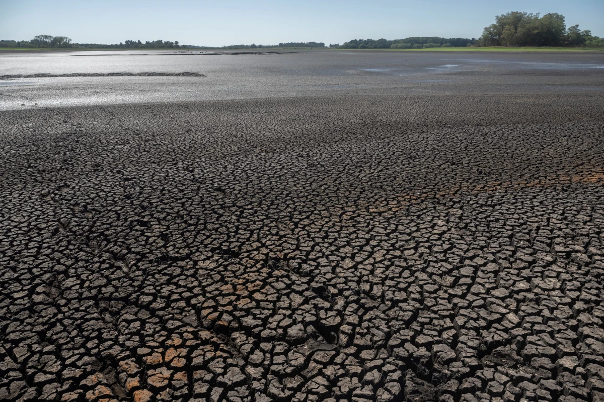 Moyen-Orient: Sous 2°C, 80% des morts liés à la chaleur peuvent être évités, selon une étude