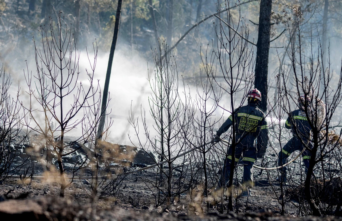 La vague de feux de forêt dans le nord de l'Espagne « sous contrôle»