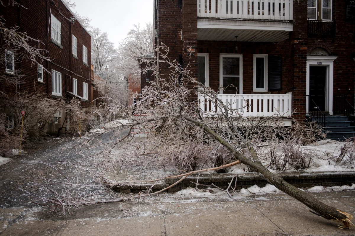 Tempête de verglas: Montréal figé sous la glace, importants dégâts matériels