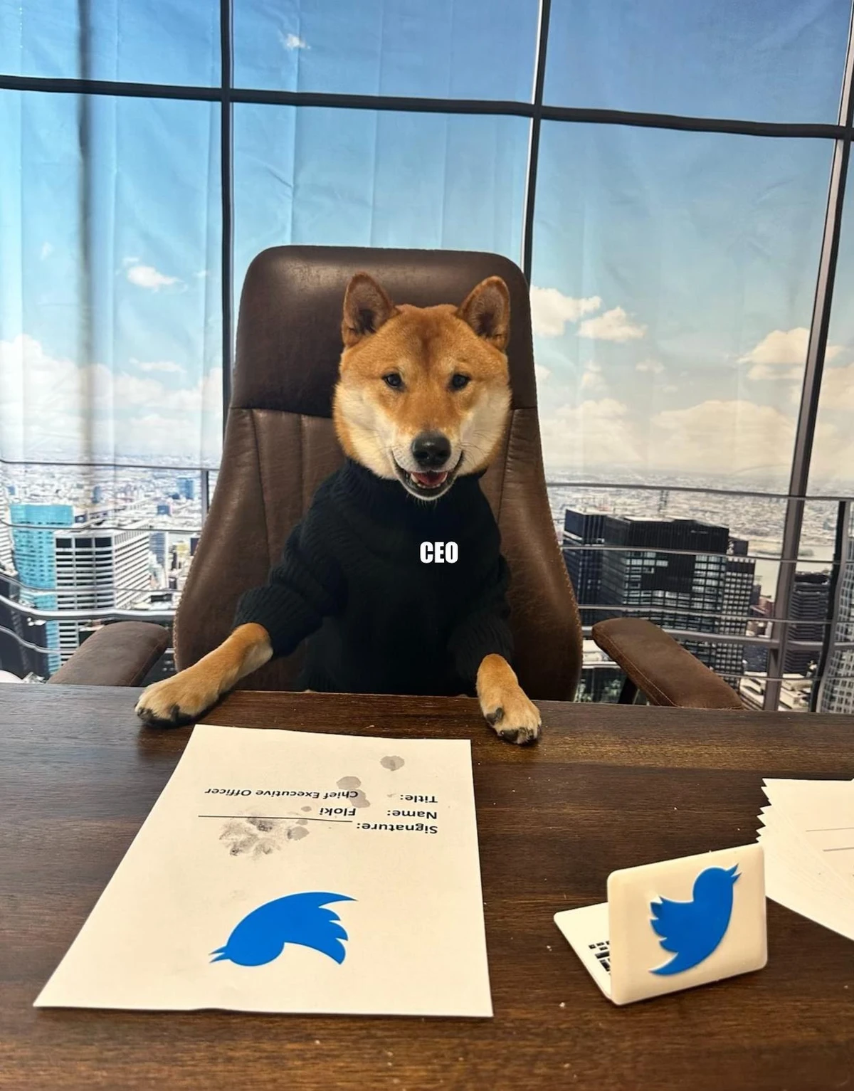 Du Blue Bird au mème Doge: l'icône de Twitter fait bondir de 30% la valeur du dogecoin!