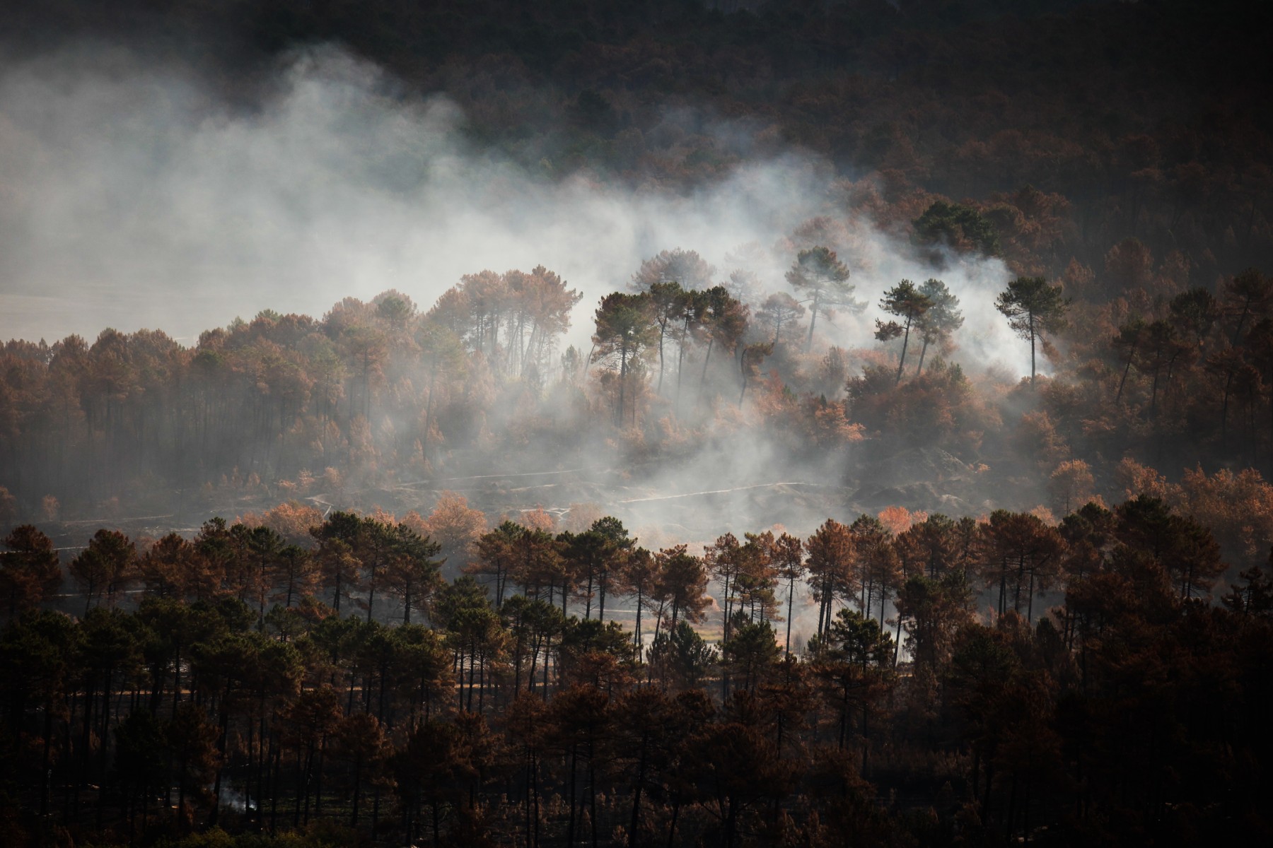 L'Assemblée valide l'interdiction de fumer dans les bois et forêts lors des périodes à risque d'incendie