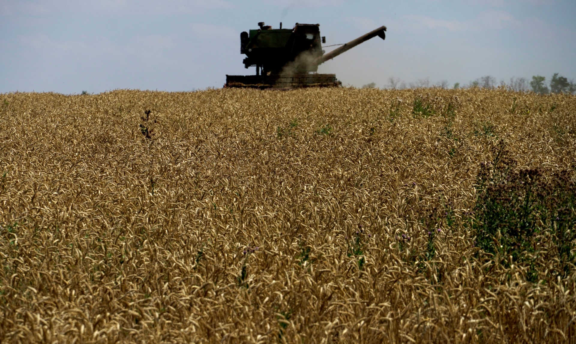 Ukraine: L'accord céréalier en mer Noire prolongé de deux mois, une batterie de Patriot endommagée