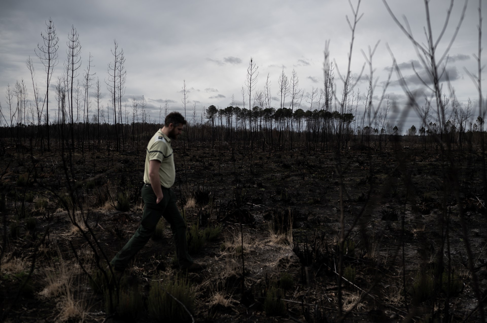 En Gironde, de la terre brûle depuis les incendies de l'été dernier