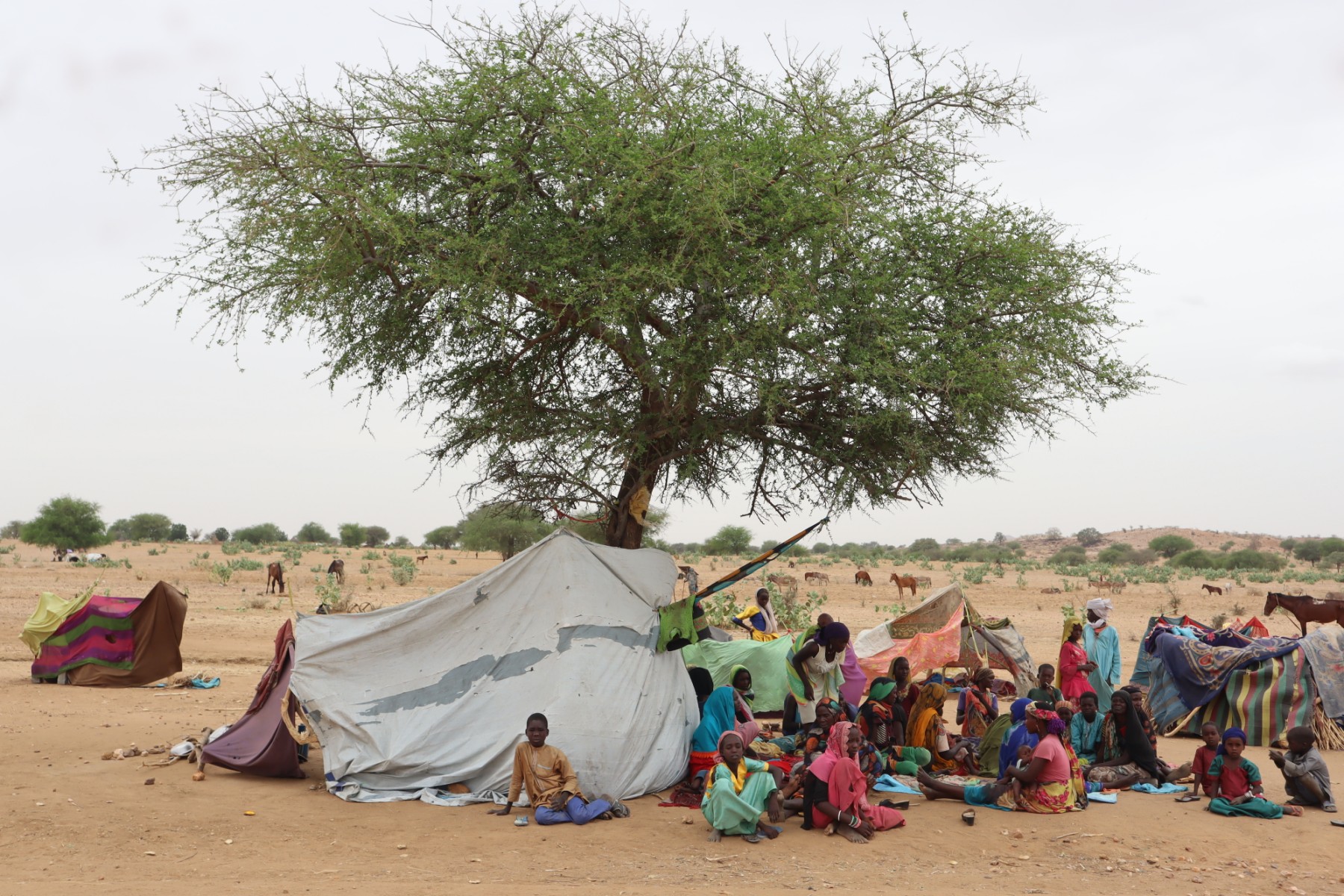 Soudan: 2 millions de personnes de plus risquent de souffrir de malnutrition aiguë, estime l'ONU