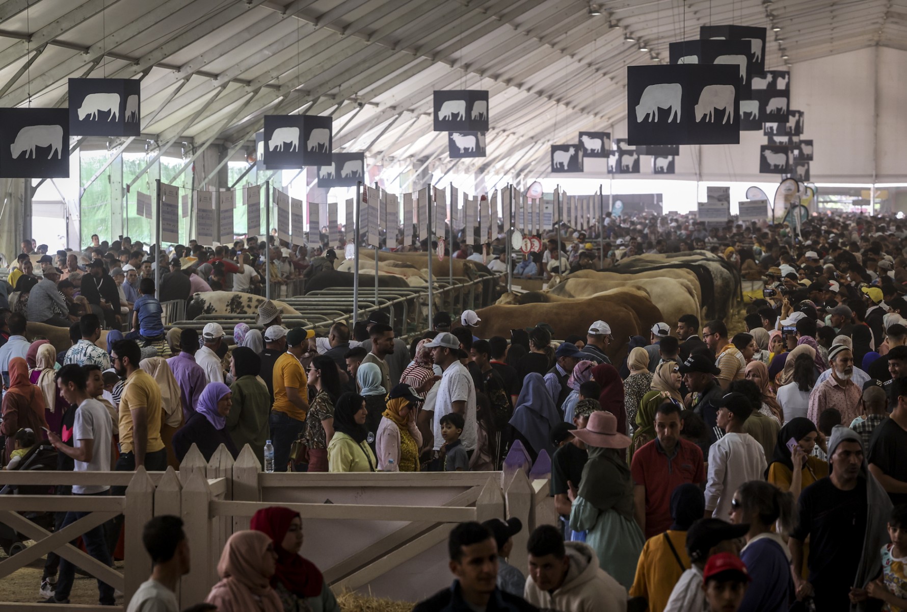 Agriculture du Maroc: la 15e édition du Siam bat tous les records