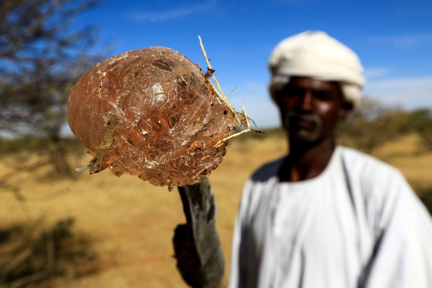 La gomme arabique menacée par la guerre au Soudan