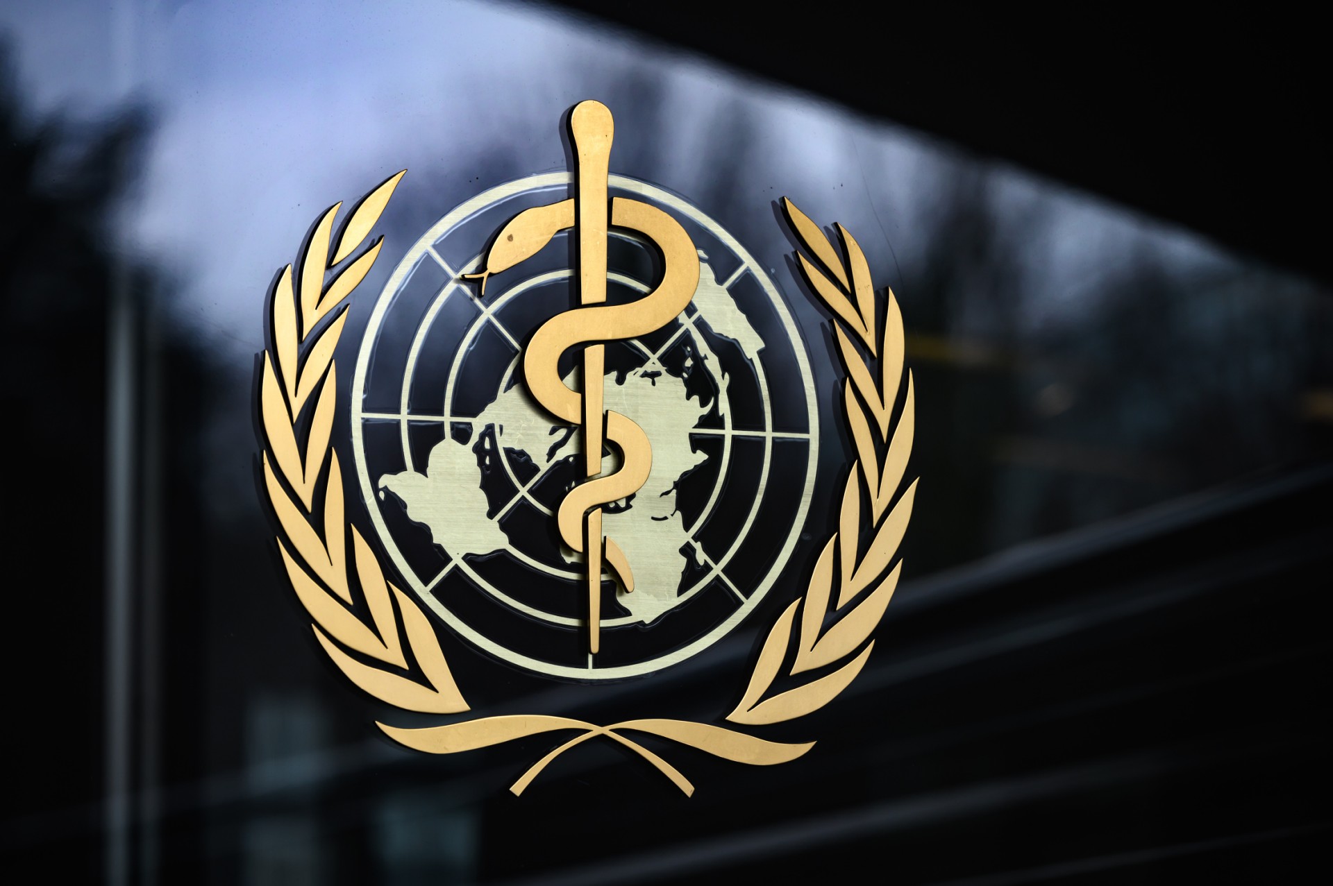 L'OMS appelle à améliorer l'accès aux soins des Palestiniens